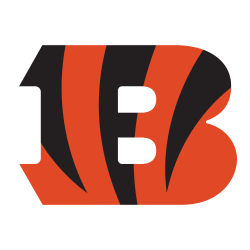 Cincinnati Bengals Fastrack Game