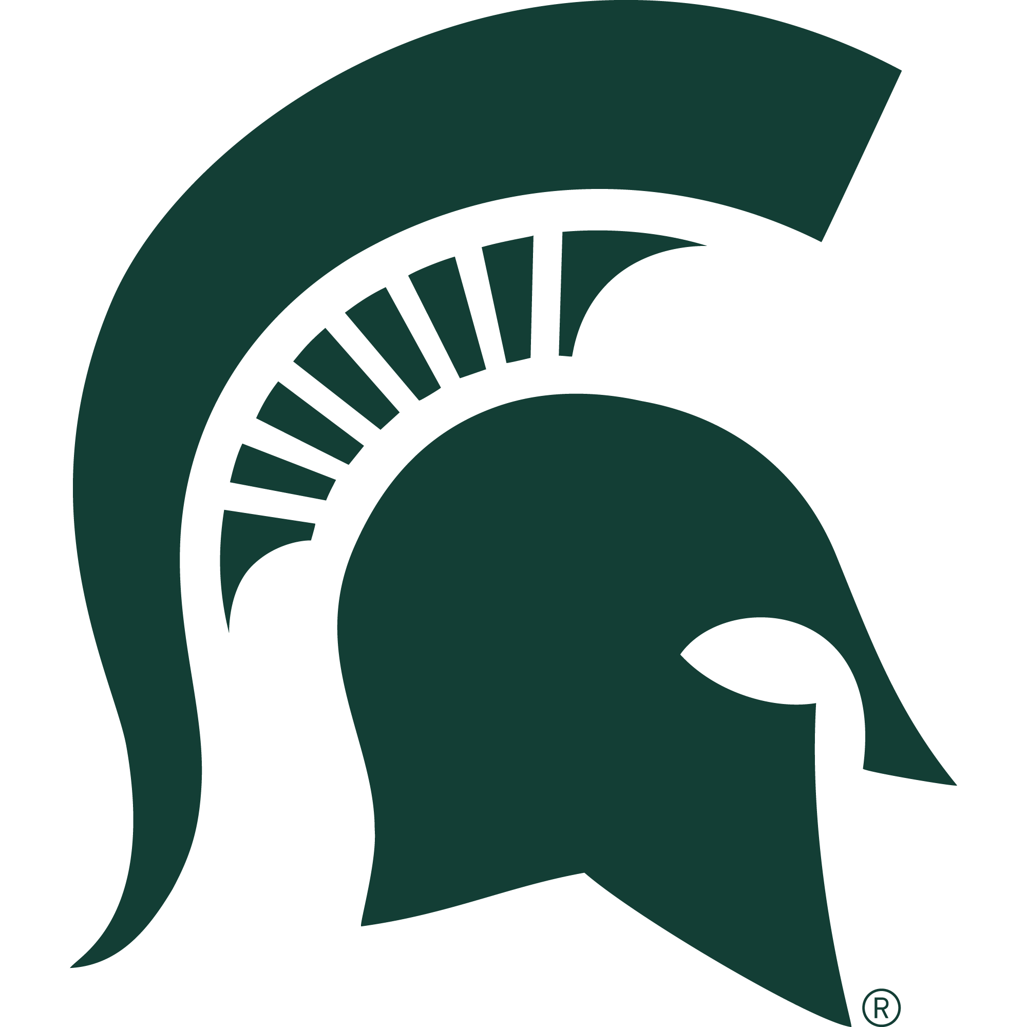 Michigan State Spartans Alternating Triangle Cornhole Boards