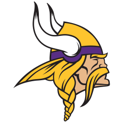 vikings premium tailgate