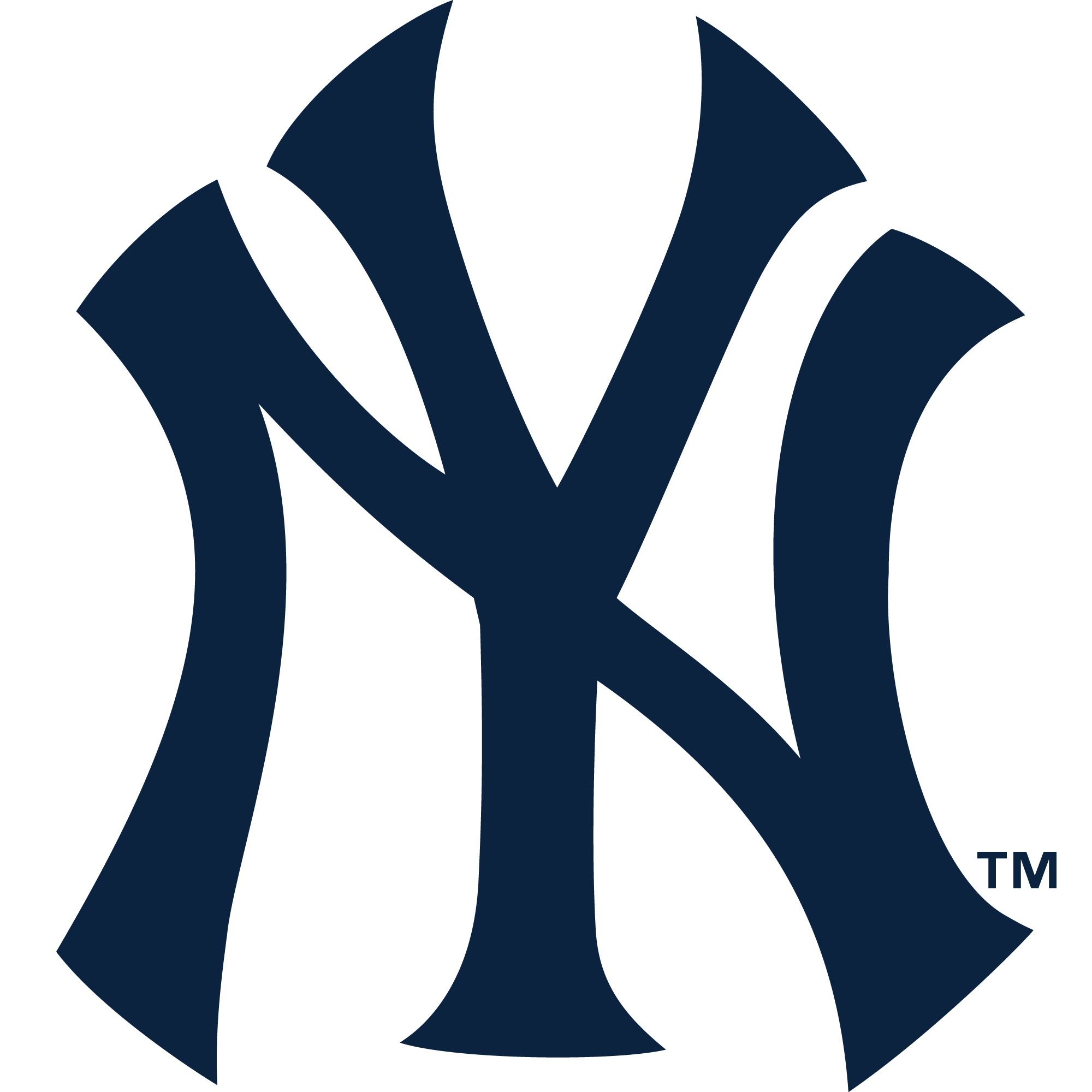 Tailgate new york yankees - Gem